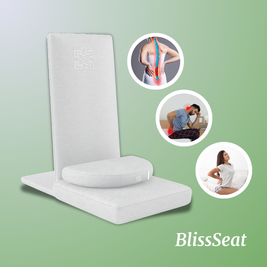 BlissSeat Cushion